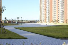 沙河鎮七里渠南北村土地一級開發項目A、B地塊市政工程-道路及管線工程